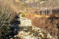 IMG_8608