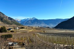 IMG_8617