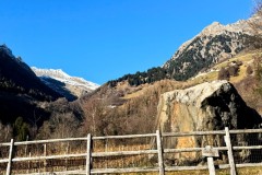 IMG_8635