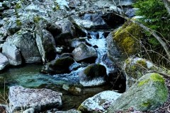 IMG_8642