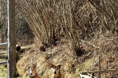 IMG_8662