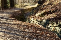 IMG_8664