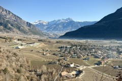 IMG_8667