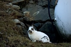 IMG_8683