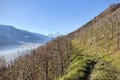 IMG_8684