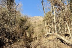 IMG_8686
