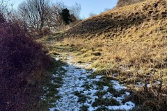 IMG_8710