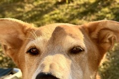 IMG_8712