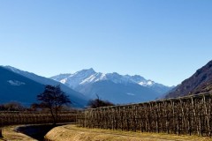 IMG_8746