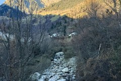 IMG_8766