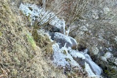 IMG_8767