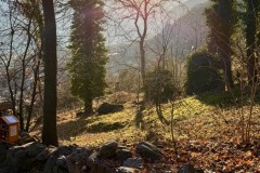 IMG_8772