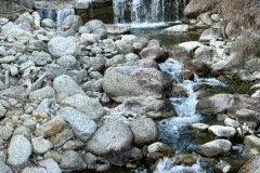 IMG_8775