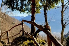 IMG_8790