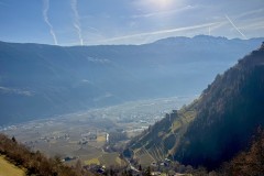 IMG_8799