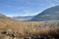 IMG_8811