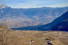 IMG_8813