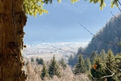 IMG_8844