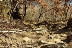IMG_8859