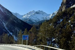 IMG_2426