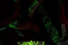 IMG_3316_jpg