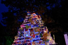 IMG_3332_jpg