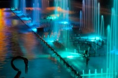IMG_3348_jpg