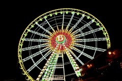 IMG_8202