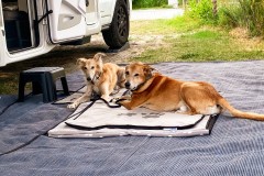 IMG_1866_jpg