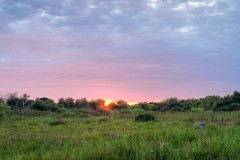 IMG_1867_jpg