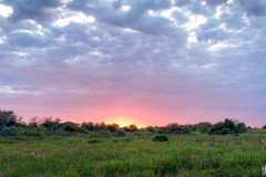 IMG_1870_jpg