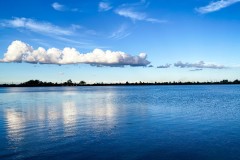 IMG_1928_jpg