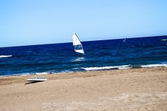 IMG_2362_jpg