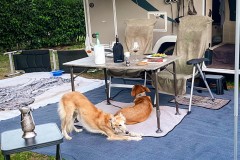 IMG_2371_jpg