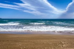 IMG_2411_jpg