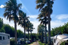IMG_2416_jpg