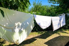 IMG_2455_jpg