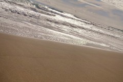 IMG_0246