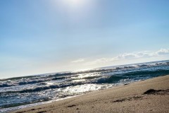 IMG_2509_jpg
