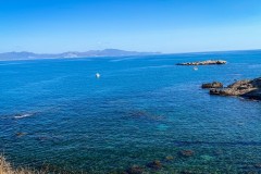 IMG_2529_jpg