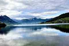 IMG_7826