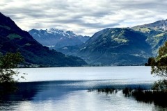 IMG_7831