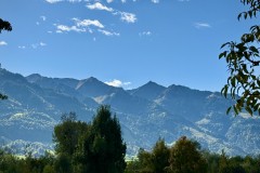 IMG_7834