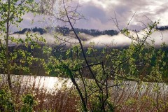 IMG_9151