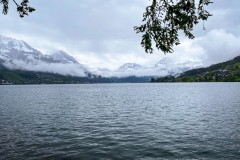 IMG_9526_jpg