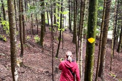 IMG_9575_jpg