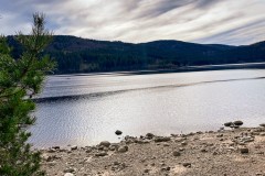 IMG_9309_jpg