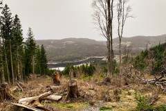 IMG_9337_jpg
