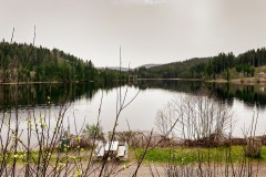 IMG_9350_jpg