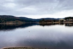 IMG_9414_jpg
